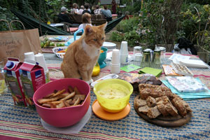 Eine Katze sitzt auf einem Picknicktisch. Im Hintergrund eine improvisierte Bühne und Publikum